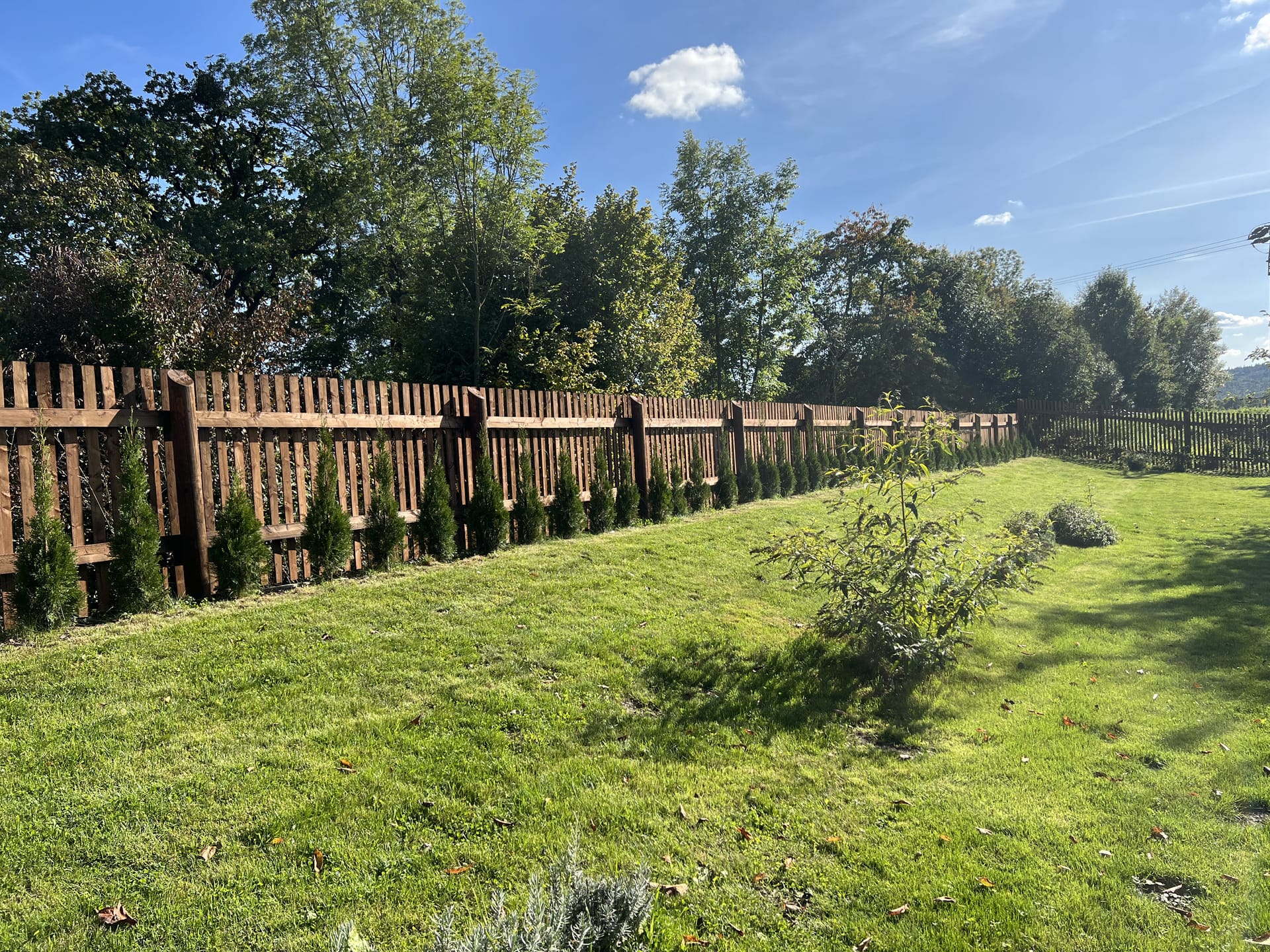 Obrázek 5 / Dřevěné ploty - strojně frézované   - realizace Hustopeč nad Bečvou 9-2021